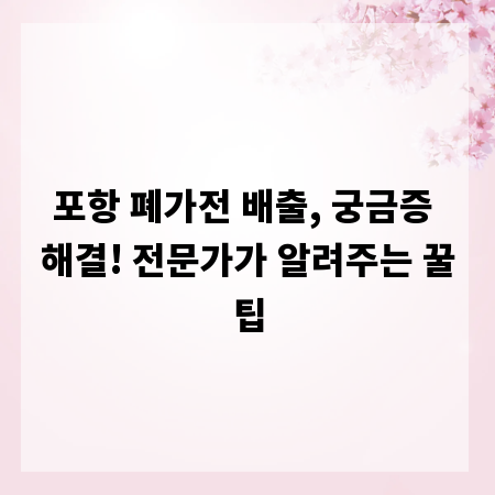 포항 폐가전 배출, 궁금증 해결! 전문가가 알려주는 꿀팁