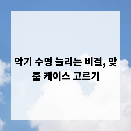 악기 수명 늘리는 비결, 맞춤 케이스 고르기