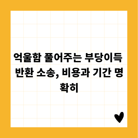 억울함 풀어주는 부당이득 반환 소송, 비용과 기간 명확히