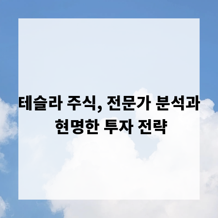 테슬라 주식, 전문가 분석과 현명한 투자 전략