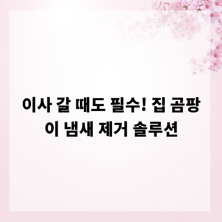 이사 갈 때도 필수! 집 곰팡이 냄새 제거 솔루션