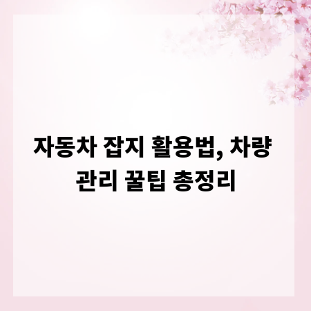 자동차 잡지 활용법, 차량 관리 꿀팁 총정리
