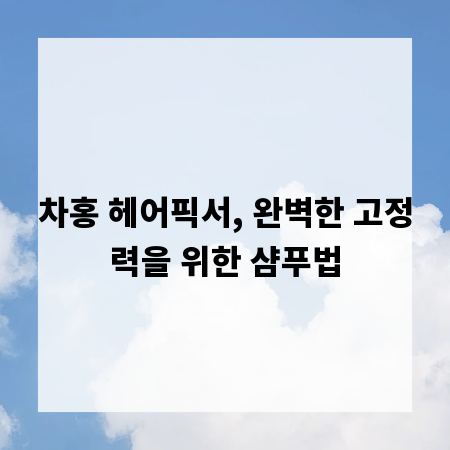 차홍 헤어픽서, 완벽한 고정력을 위한 샴푸법