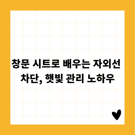 창문 시트로 배우는 자외선 차단, 햇빛 관리 노하우