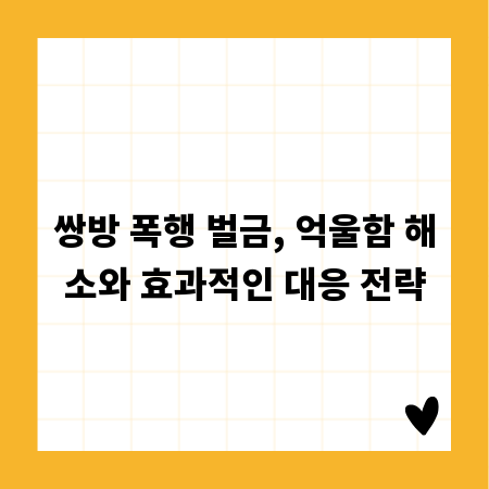 쌍방 폭행 벌금, 억울함 해소와 효과적인 대응 전략