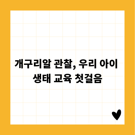 개구리알 관찰, 우리 아이 생태 교육 첫걸음