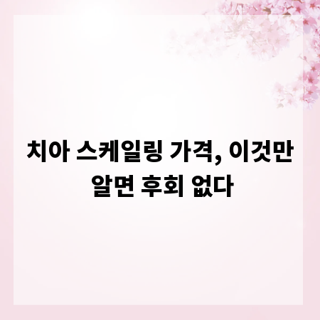 치아 스케일링 가격, 이것만 알면 후회 없다