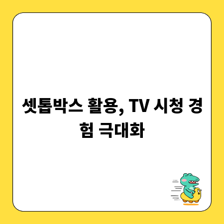 셋톱박스 활용, TV 시청 경험 극대화