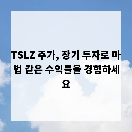 TSLZ 주가, 장기 투자로 마법 같은 수익률을 경험하세요