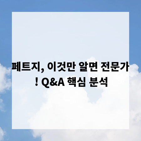 페트지, 이것만 알면 전문가! Q&A 핵심 분석
