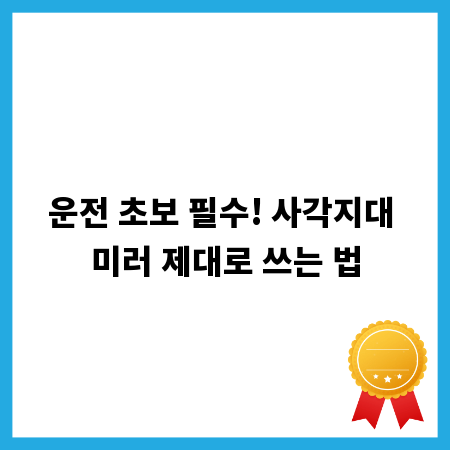 운전 초보 필수! 사각지대 미러 제대로 쓰는 법