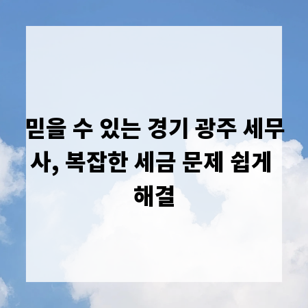 믿을 수 있는 경기 광주 세무사, 복잡한 세금 문제 쉽게 해결
