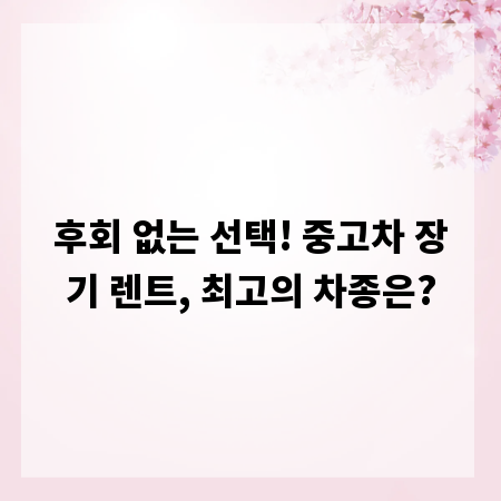 후회 없는 선택! 중고차 장기 렌트, 최고의 차종은?