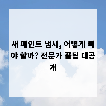 새 페인트 냄새, 어떻게 빼야 할까? 전문가 꿀팁 대공개