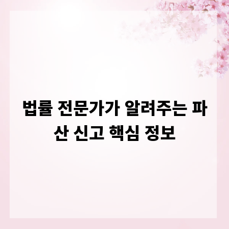 법률 전문가가 알려주는 파산 신고 핵심 정보