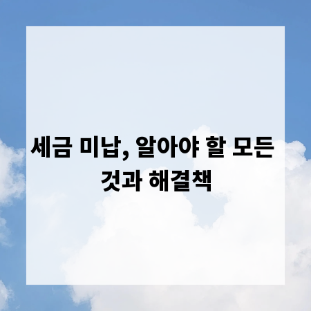 세금 미납, 알아야 할 모든 것과 해결책