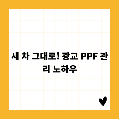 새 차 그대로! 광교 PPF 관리 노하우