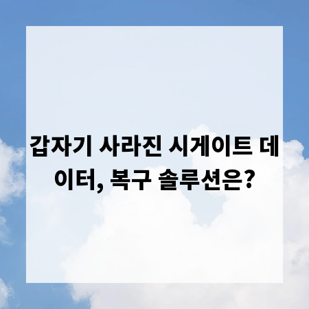갑자기 사라진 시게이트 데이터, 복구 솔루션은?