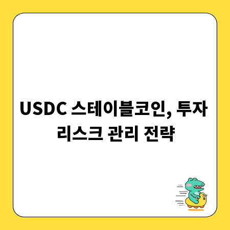 USDC 스테이블코인, 투자 리스크 관리 전략