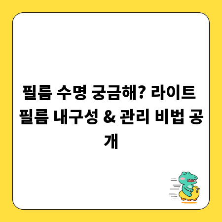 필름 수명 궁금해? 라이트 필름 내구성 & 관리 비법 공개