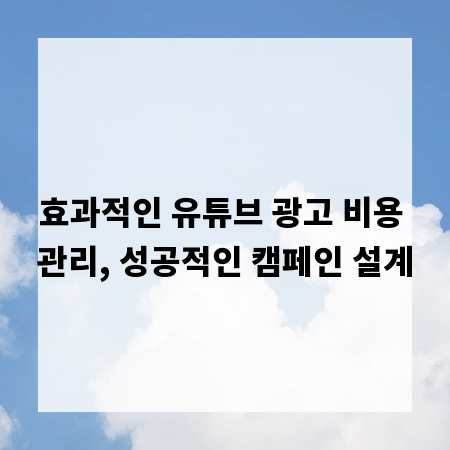 효과적인 유튜브 광고 비용 관리, 성공적인 캠페인 설계