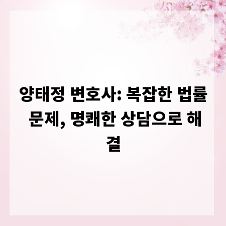 양태정 변호사: 복잡한 법률 문제, 명쾌한 상담으로 해결