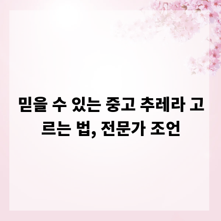 믿을 수 있는 중고 추레라 고르는 법, 전문가 조언