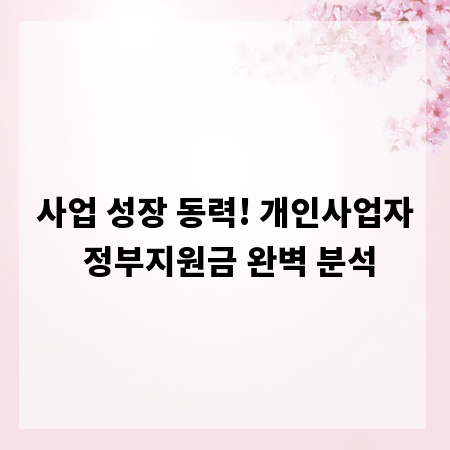 사업 성장 동력! 개인사업자 정부지원금 완벽 분석