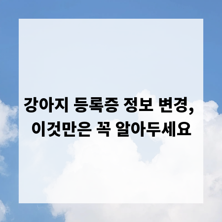 강아지 등록증 정보 변경, 이것만은 꼭 알아두세요
