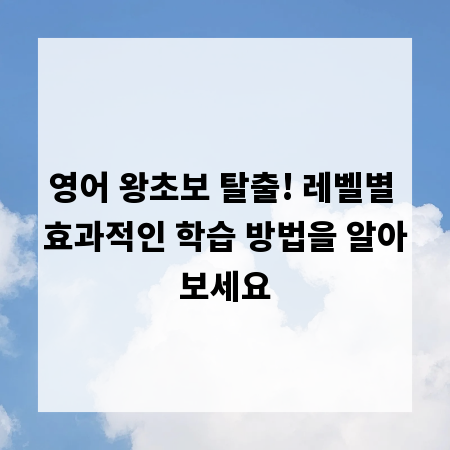 영어 왕초보 탈출! 레벨별 효과적인 학습 방법을 알아보세요