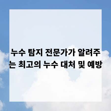 누수 탐지 전문가가 알려주는 최고의 누수 대처 및 예방