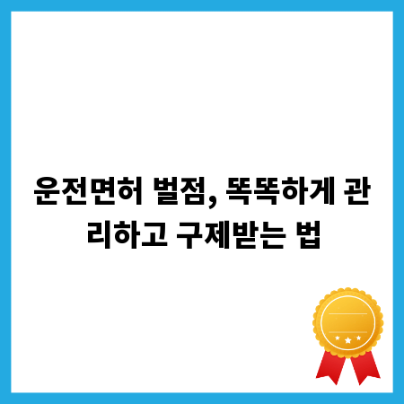 운전면허 벌점, 똑똑하게 관리하고 구제받는 법