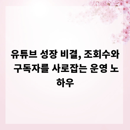 유튜브 성장 비결, 조회수와 구독자를 사로잡는 운영 노하우