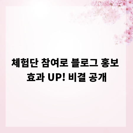 체험단 참여로 블로그 홍보 효과 UP! 비결 공개