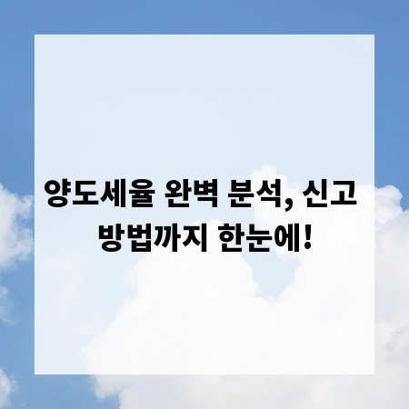 양도세율 완벽 분석, 신고 방법까지 한눈에!