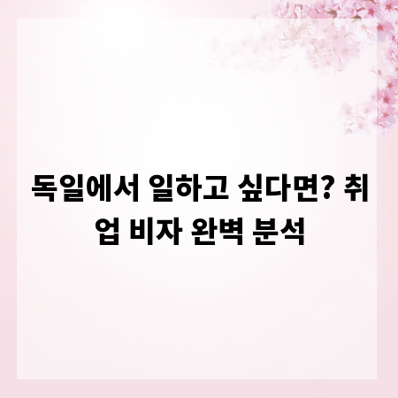 독일에서 일하고 싶다면? 취업 비자 완벽 분석