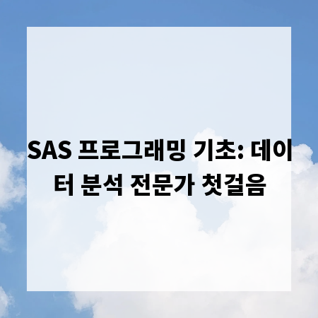 SAS 프로그래밍 기초: 데이터 분석 전문가 첫걸음