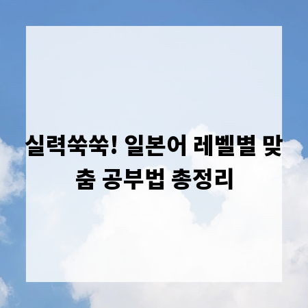 실력쑥쑥! 일본어 레벨별 맞춤 공부법 총정리