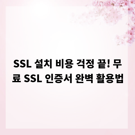 SSL 설치 비용 걱정 끝! 무료 SSL 인증서 완벽 활용법