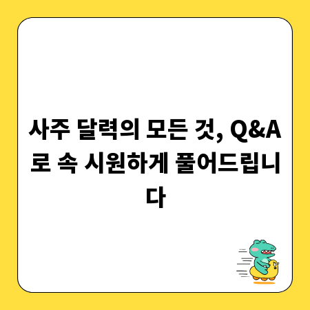 사주 달력의 모든 것, Q&A로 속 시원하게 풀어드립니다