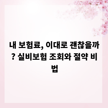 내 보험료, 이대로 괜찮을까? 실비보험 조회와 절약 비법
