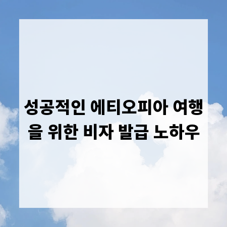성공적인 에티오피아 여행을 위한 비자 발급 노하우