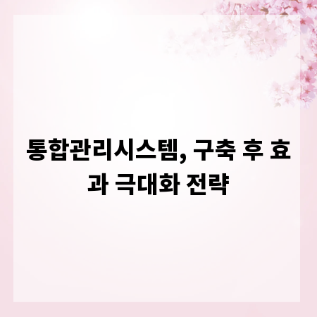 통합관리시스템, 구축 후 효과 극대화 전략