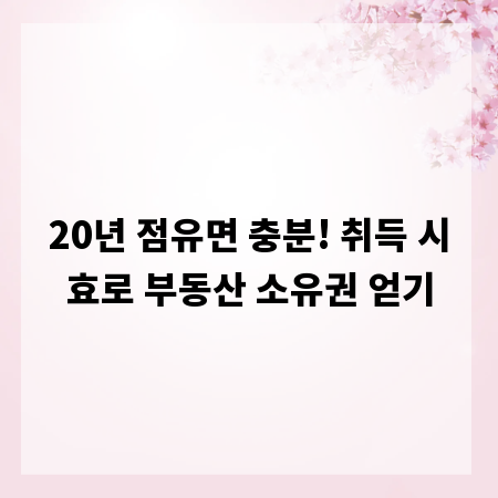 20년 점유면 충분! 취득 시효로 부동산 소유권 얻기
