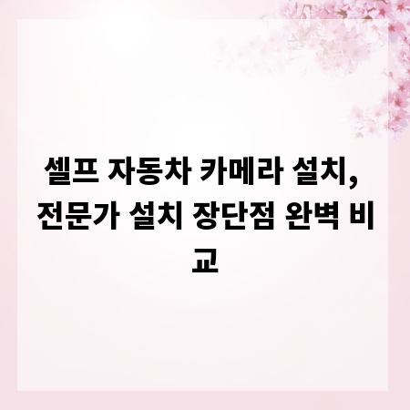 셀프 자동차 카메라 설치, 전문가 설치 장단점 완벽 비교
