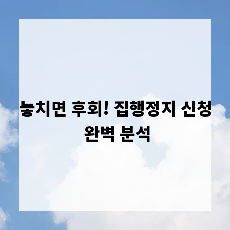 놓치면 후회! 집행정지 신청 완벽 분석