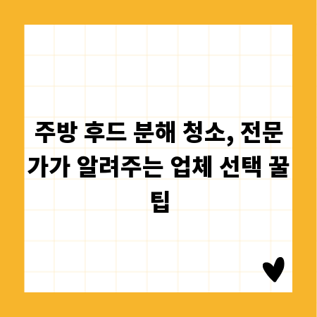 주방 후드 분해 청소, 전문가가 알려주는 업체 선택 꿀팁