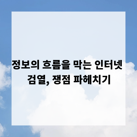 정보의 흐름을 막는 인터넷 검열, 쟁점 파헤치기