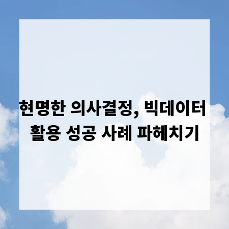 현명한 의사결정, 빅데이터 활용 성공 사례 파헤치기