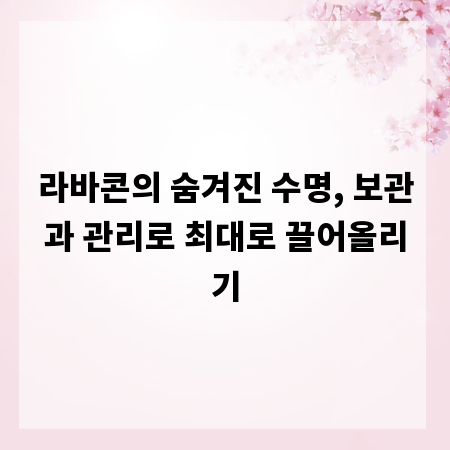 라바콘의 숨겨진 수명, 보관과 관리로 최대로 끌어올리기